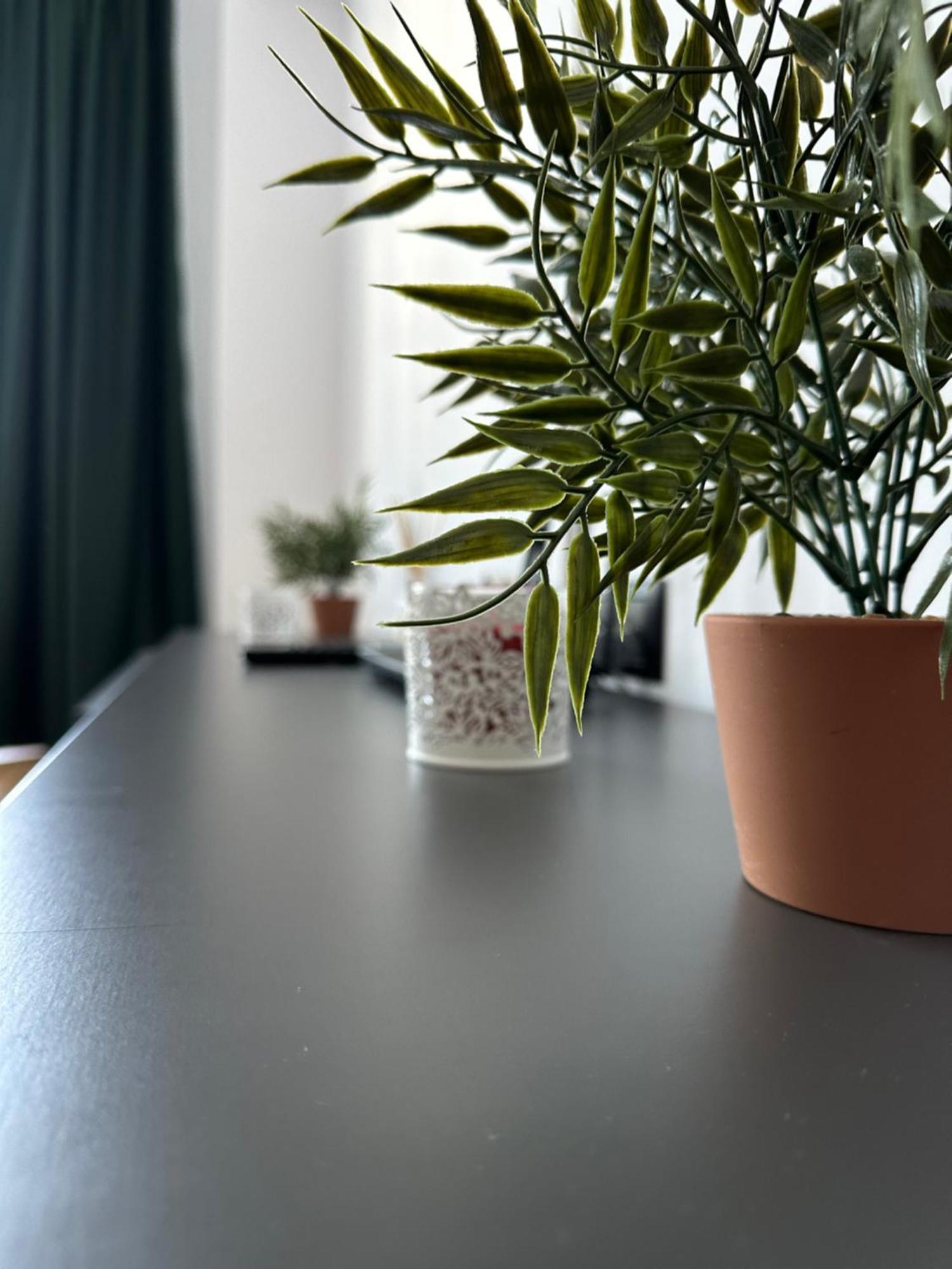 Junior Residence Studio クルージュ＝ナポカ エクステリア 写真